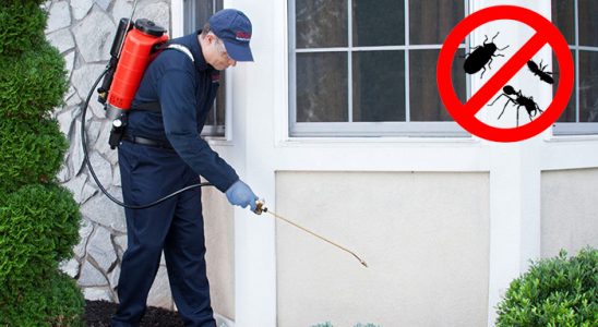 Kavaklıdere Tahtakurusu İlaçlama böcek ilaçlama ve haşere kontrolü — ilaclama-tr.com